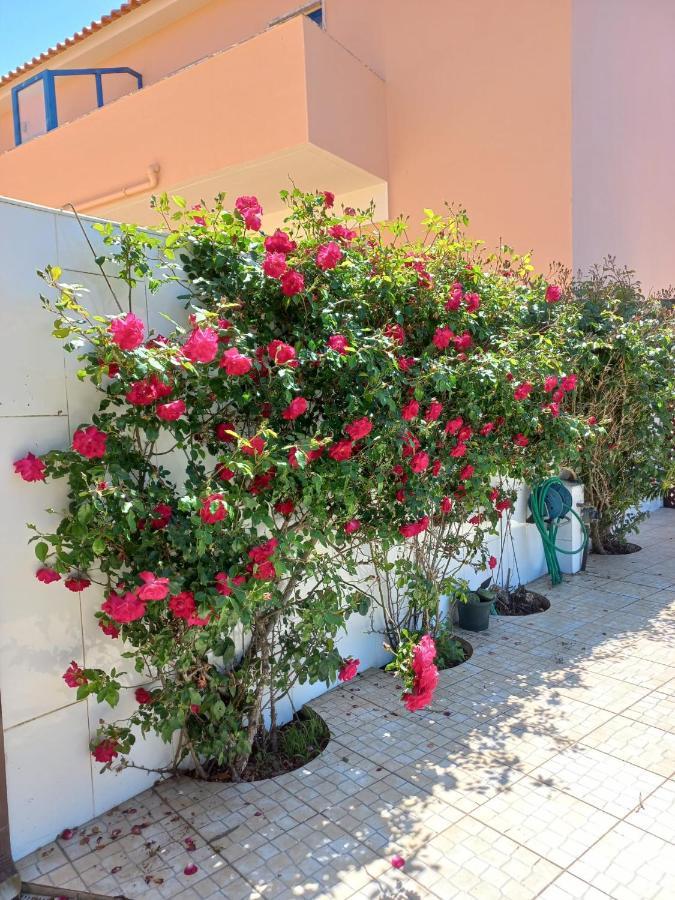Casa Do Portao Azul - Salmonete Διαμέρισμα Atouguia Da Baleia Εξωτερικό φωτογραφία